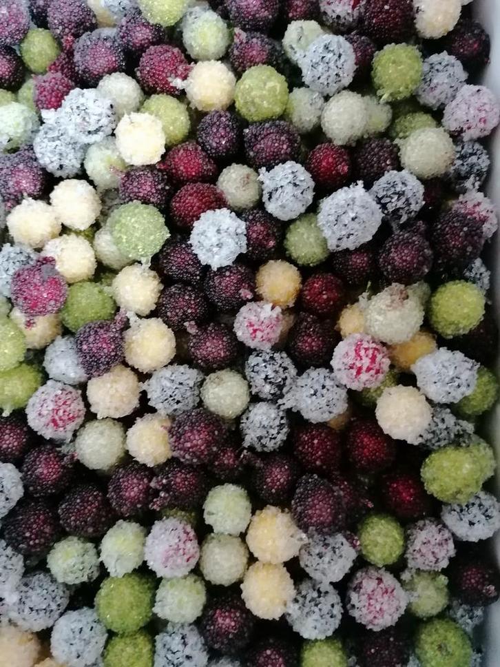 SIERFRUIT BESSEN, BESSEN ,EN NOG EENS BESSEN (GLOEDNIEUW)., Hobby en Vrije tijd, Knutselen, Nieuw, Materiaal, Ophalen of Verzenden