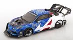 OttOmobile 1:18 Alpine A110 GT4 Evo #110 Pikes Peak 2023, Hobby en Vrije tijd, Modelauto's | 1:18, Ophalen of Verzenden, Nieuw