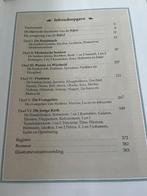 Mysteries van de Bijbel - Terugkerende vragen over Boek der, Ophalen of Verzenden, Zo goed als nieuw, Jac.C. Constant, Christendom | Protestants