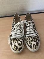 Panter gympen, Kleding | Dames, Schoenen, Overige kleuren, Nieuw, Ophalen of Verzenden, Sneakers of Gympen