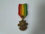Tempeleers Mestreech - kindermedaille 1991, Ophalen of Verzenden, Overige materialen, Nederland