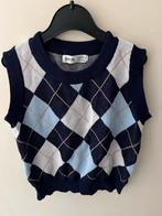 Argyle Trui Vest Zonder Mouwen - Maat 100, Ophalen of Verzenden, Zo goed als nieuw, Blauw