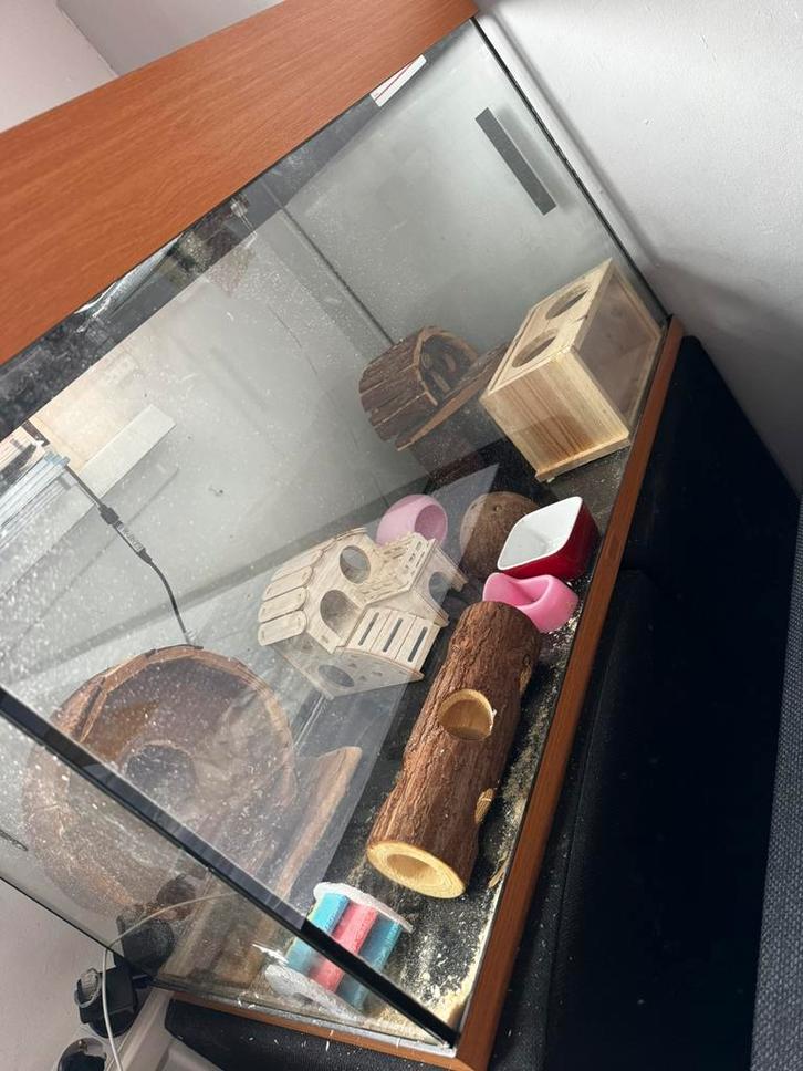 Hamster kooi incl alle toebehoren, Dieren en Toebehoren, Knaagdieren en Konijnen | Hokken en Kooien, Zo goed als nieuw, Hok, 60 tot 90 cm