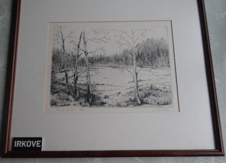 FRAAIE ETS BOS EN HEIDE * P. DORSSELAER * In Lijst *, Antiek en Kunst, Kunst | Etsen en Gravures, Verzenden