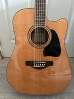 Ibanez 12 snarige gitaar acoustisch, Muziek en Instrumenten, Snaarinstrumenten | Gitaren | Akoestisch, Ophalen, Zo goed als nieuw