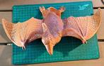 Dinosaurus Pteranodon 20x12x35 cm	230525, Ophalen of Verzenden, Zo goed als nieuw, Overige soorten, Beeldje of Figuurtje