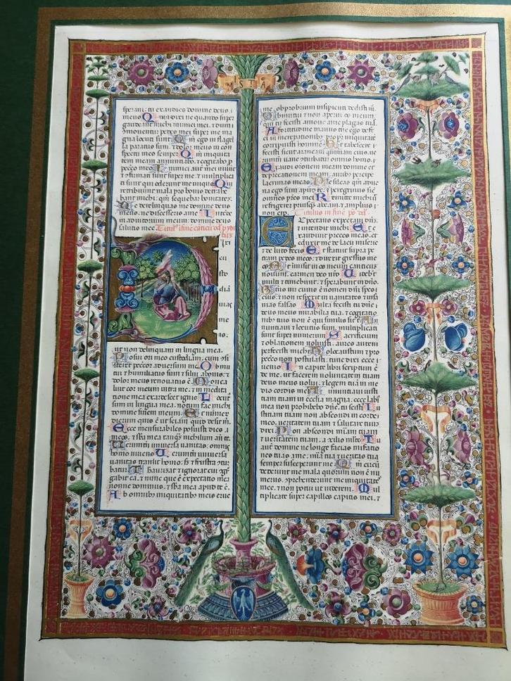 Kunstdruk - Rijkgeillustreerde gekaligrafeerde pagina, Antiek en Kunst, Kunst | Litho's en Zeefdrukken, Ophalen of Verzenden