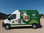 2 paards Renault Master, Merrie