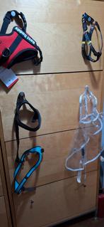 Tuigjes en regenjas kleine hond, Dieren en Toebehoren, Ophalen of Verzenden, Nieuw