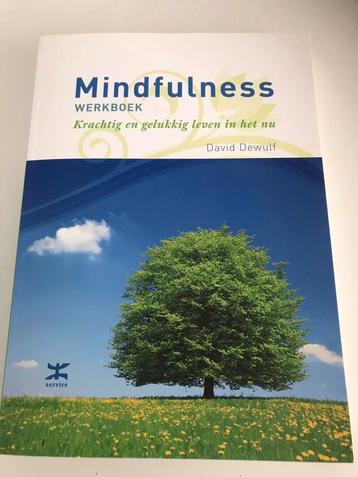 Diverse boeken waaronder het Mindfulness leerboek.