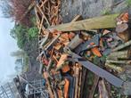 brandhout, Tuin en Terras, Minder dan 3 m³, Ophalen of Verzenden