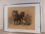 Prent Otto Eerelman Chow chow mopshond, Ophalen of Verzenden