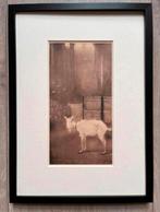 Jan Mankes 1889-1920 / Heliogravure Oude Geit 1923, Ophalen of Verzenden