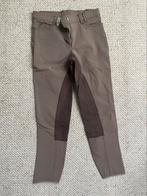 Paardrijbroek maat 36 bruin, Dieren en Toebehoren, Paardrijkleding, Ophalen, Zo goed als nieuw, Dames, Recreatie