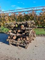 Vers Perenhout Haardhout - Stammen, Tuin en Terras, Haardhout, Minder dan 3 m³, Ophalen, Overige houtsoorten, Stammen