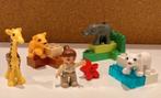 Duplo dierentuindieren, Ophalen of Verzenden, Zo goed als nieuw, Duplo