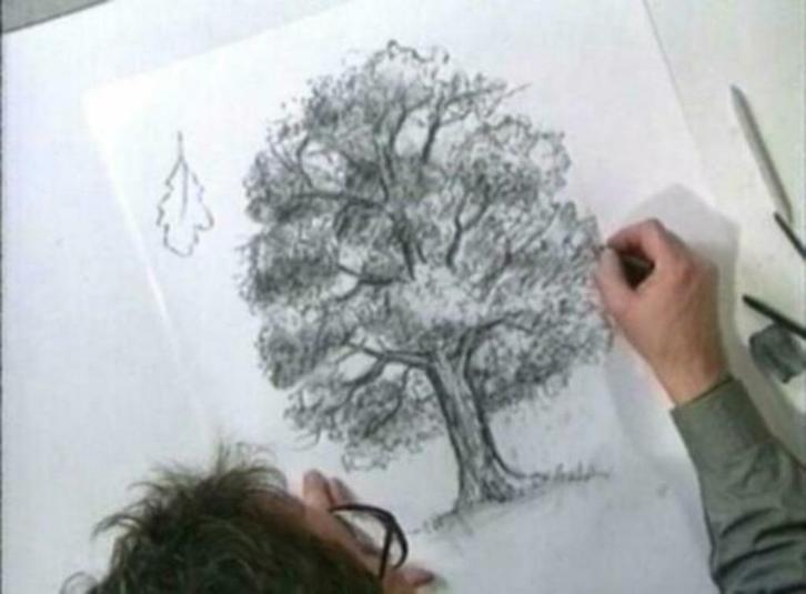 7 dlg. CURSUS Tekenen en Schilderen, Hobby en Vrije tijd, Tekenen, Nieuw, Boek of Gids, Verzenden