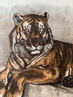 Lithografie / druk Tijger. BS. B Sluyterman, Antiek en Kunst, Kunst | Litho's en Zeefdrukken, Ophalen of Verzenden