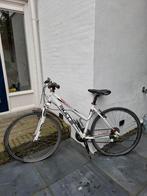 Bulls fiets opknapper, Fietsen en Brommers, Ophalen, Gebruikt, 20 inch of meer