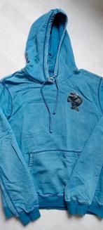 Hoodie (Reinders), Reinders, Ophalen of Verzenden, Zo goed als nieuw, Blauw