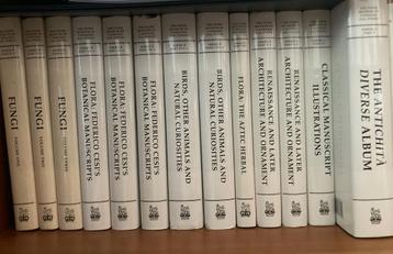 Verzameling ‘The Paper Museum of Cassiano dal Pozzo’ beschikbaar voor biedingen