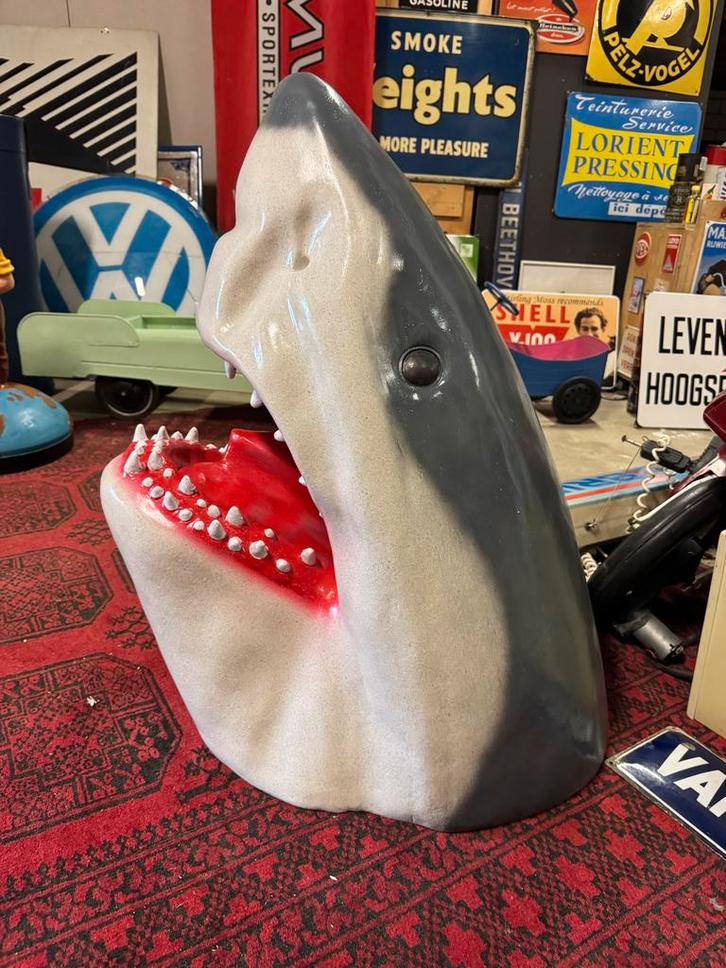 Decoratieve Haaienkop - Uniek stuk!, Verzamelen, Beelden en Beeldjes, Gebruikt, Dier, Ophalen