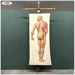 Oude vooroorlogse XXL schoolkaartenhouder van Königs, Antiek en Kunst, Curiosa en Brocante, Ophalen