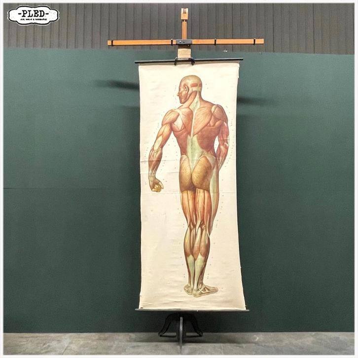 Oude vooroorlogse XXL schoolkaartenhouder van Königs, Antiek en Kunst, Curiosa en Brocante, Ophalen