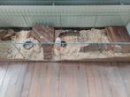 Mooie hamster/knaagdieren hok, Dieren en Toebehoren, Knaagdieren en Konijnen | Hokken en Kooien, Ophalen, Minder dan 60 cm, 110 cm of meer