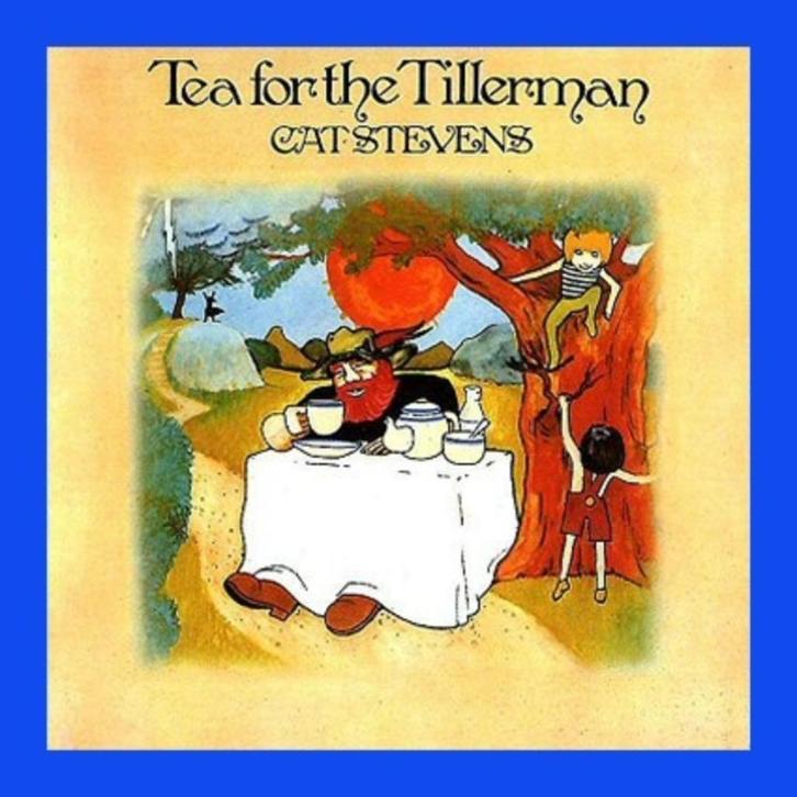 cd van Cat Stevens – Tea For The Tillerman, Cd's en Dvd's, Cd's | Rock, Zo goed als nieuw, Poprock, Ophalen of Verzenden