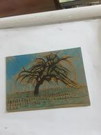 DE BLAUWE BOOM  P. MONDRIAAN, Ophalen of Verzenden