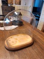 Antieke glazen stolp, Ophalen of Verzenden, Zo goed als nieuw