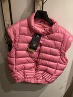 Goldbergh roze roxy bodywarmer maat 40 nieuw, Maat 38/40 (M), Nieuw, Ophalen of Verzenden, Roze