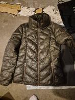 Imperial Riding Jas - Maat XS - Zo goed als nieuw, Ophalen of Verzenden, Zo goed als nieuw, Maat 34 (XS) of kleiner, Groen