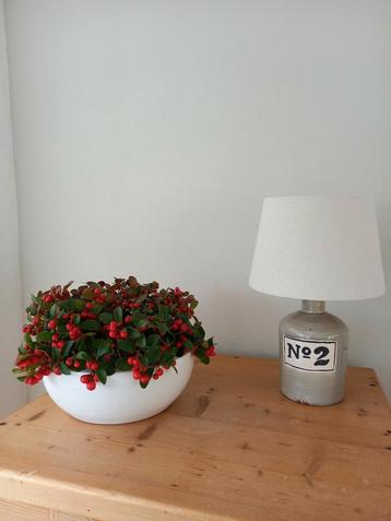  Tafellamp met 'No. 2' Design beschikbaar voor biedingen