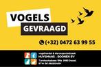 Diverse vogels gevraagd, Dieren en Toebehoren, Meerdere dieren