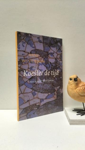 Westerduin, Anne; Koester de tijd   beschikbaar voor biedingen