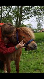 Paardentherapeut/osteopaat, Ophalen