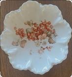 Ierse porseleinen fruitschaal, Belleek Pottery, Ophalen of Verzenden