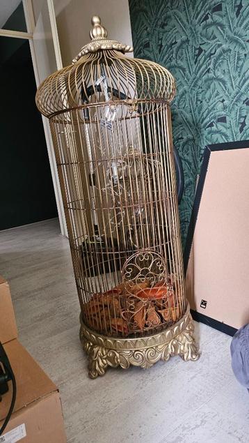 Prachtige grote vogelkooi beschikbaar voor biedingen