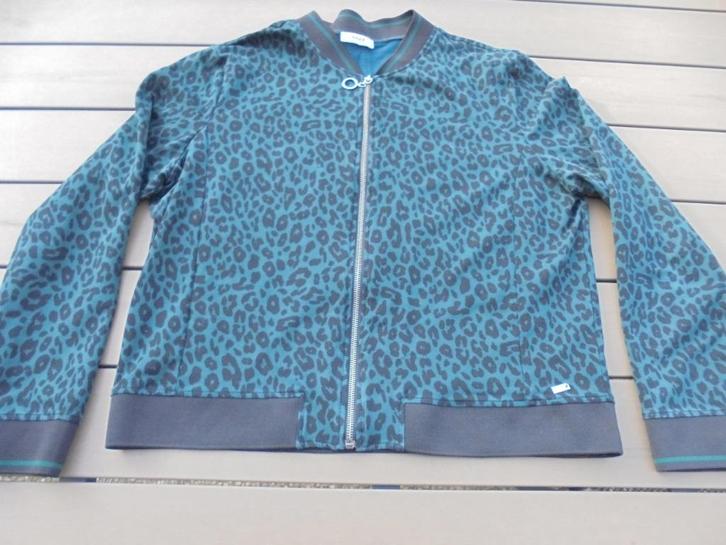 Zwart/groen vest ANNA, Kleding | Dames, Truien en Vesten, Zo goed als nieuw, Maat 46/48 (XL) of groter, Zwart, Ophalen of Verzenden