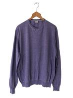 Fedeli trui M, Kleding | Heren, Ophalen of Verzenden, Zo goed als nieuw, Grijs