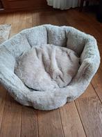 Hondemandje 51 degrees north, Ophalen of Verzenden