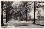 Winterswijk Groenloscheweg Achterhoek, Ophalen of Verzenden, 1940 tot 1960, Gelopen, Gelderland