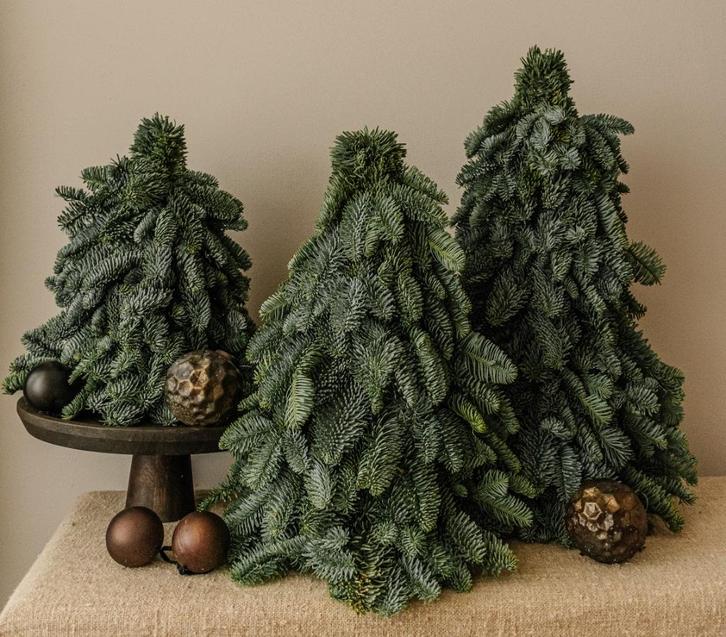 Echte nobilis boompjes - 3 formaten, Diversen, Kerst, Nieuw, Ophalen of Verzenden