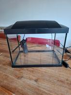 Aquarium 20 startset (Superfish) (incl lamp), Dieren en Toebehoren, Vissen | Aquaria en Toebehoren, Ophalen, Gebruikt, Leeg aquarium