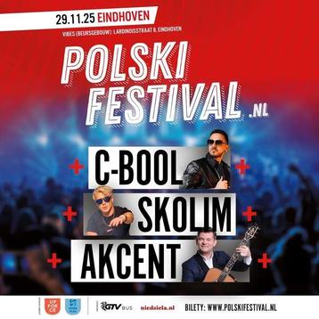 2 tickets / 2 bilety na Polski Festiwal w Eindhoven beschikbaar voor biedingen