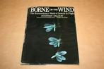 Borne on the wind - The extraordinary world of insects in fl