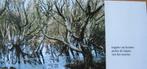 foto en gedicht van Saskia de Boer - Toppen van bomen -nieuw, Verzenden, 1980 tot heden, Ongelopen, Natuur