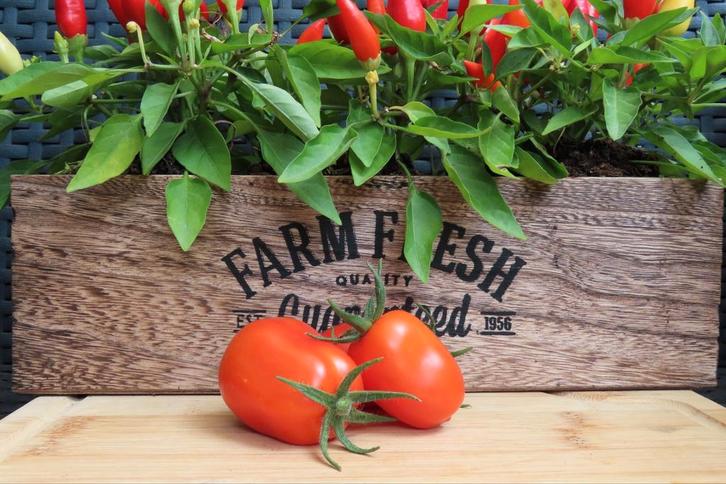 diverse tomatenzaden en peperzaden, Tuin en Terras, Bloembollen en Zaden, Volle zon, Ophalen of Verzenden